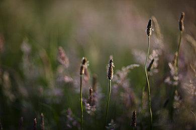 携仿制枪COS《生化危机》角色的英国少年被警方逮捕